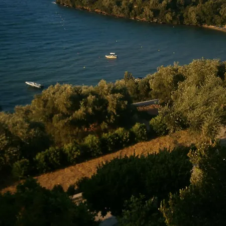 Dimitra Seaview K Konukevi